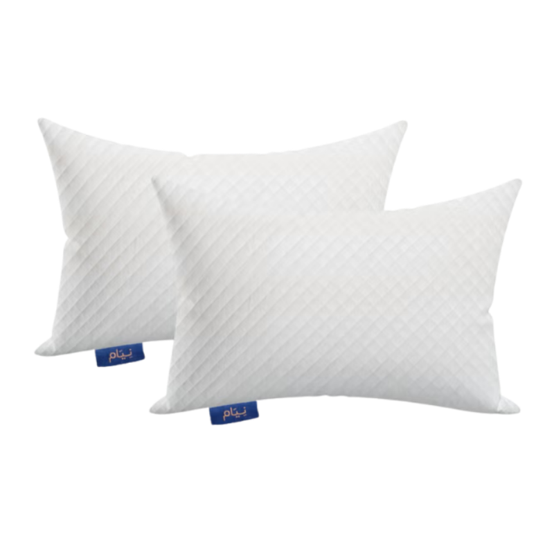 Neyam 2- Piece Pillow Set